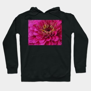 zinnia flower bloom in pink floral fantasy Hoodie